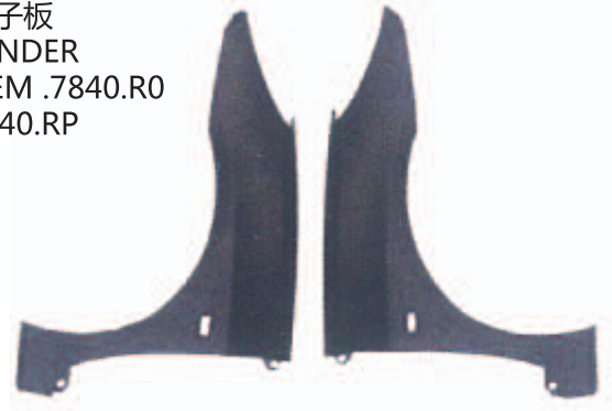 P.307 05- ÖN ÇAMURLUK SOL